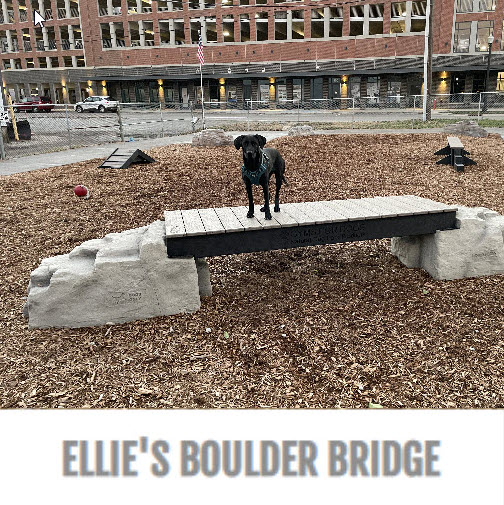 CAD Drawings Gyms For Dogs Ellie's Boulder Bridge